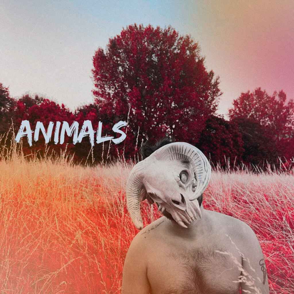 “ANIMALS” di Tommy Door – quando il pop incontra la natura più selvaggia