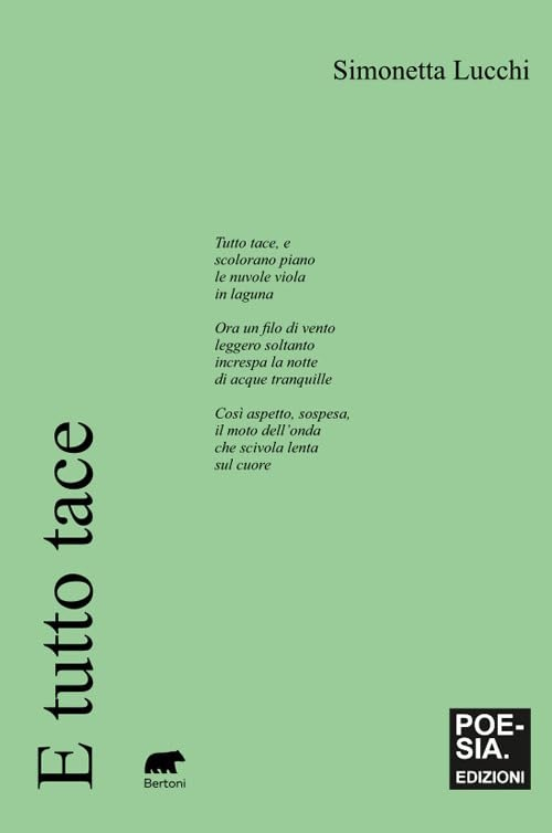 “E tutto tace” di Simonetta Lucchi, disponibile in libreria e negli store digitali