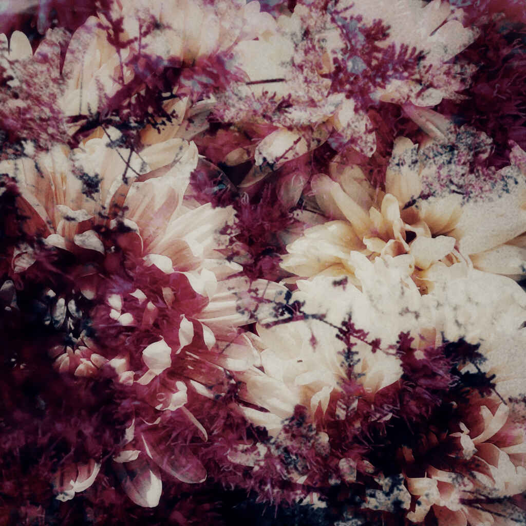 Filippo Poderini presenta due nuovi singoli “Poutpourri” e “Non sbaglio Mai”