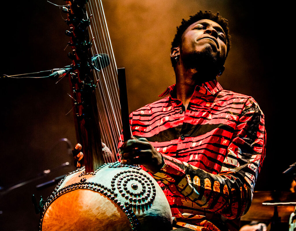 Suoni etnici, workshop vocale, operina barocca e teatro per i più piccoli:  gli appuntamenti della rassegna Musique Royale  dal 21 novembre al 21 dicembre alla Reggia di Monza